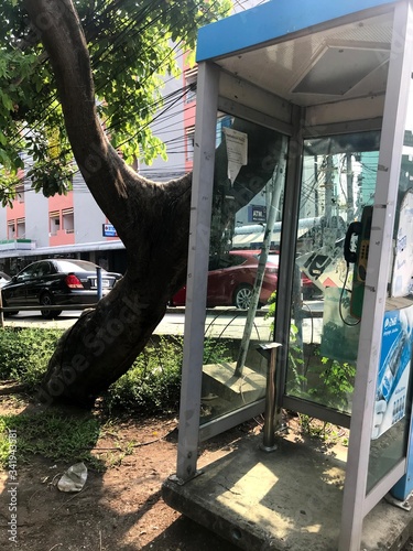 Public phone booth with tree 