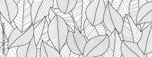 Black and white wallpaper design with leaf. Leaves line arts background design for fabric  prints and background texture  Vector illustration.