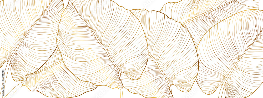 Fototapeta Luxury gold nature background vector. Floral pattern, Golden split-leaf Philodendron plant with monstera plant line arts, Vector illustration.
