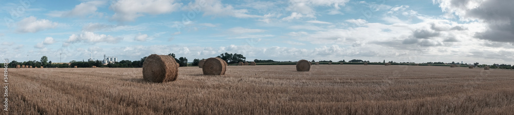Fototapeta premium Panoramic view hay rolls in a French filed. 