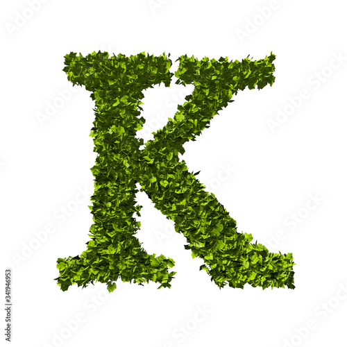 Letter K nature leaf alphabet. 3D Rendering