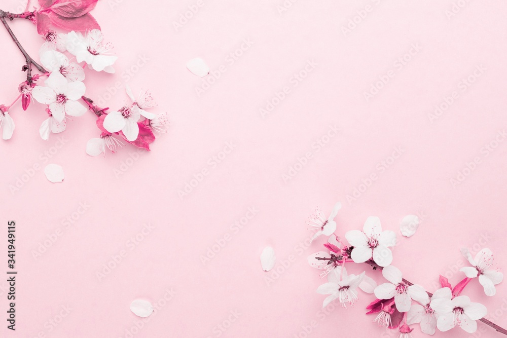 April floral nature. Spring blossom and may flowers on pink. For banner, branches of blossoming cherry against background. Dreamy romantic image, landscape panorama, copy space.