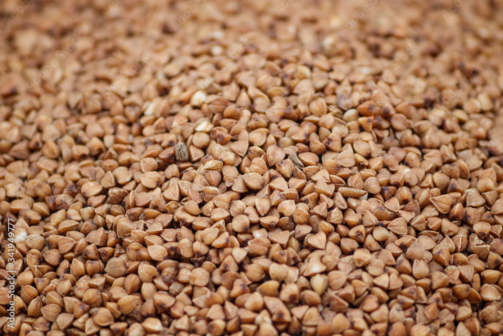 Buckwheat Buckwheat