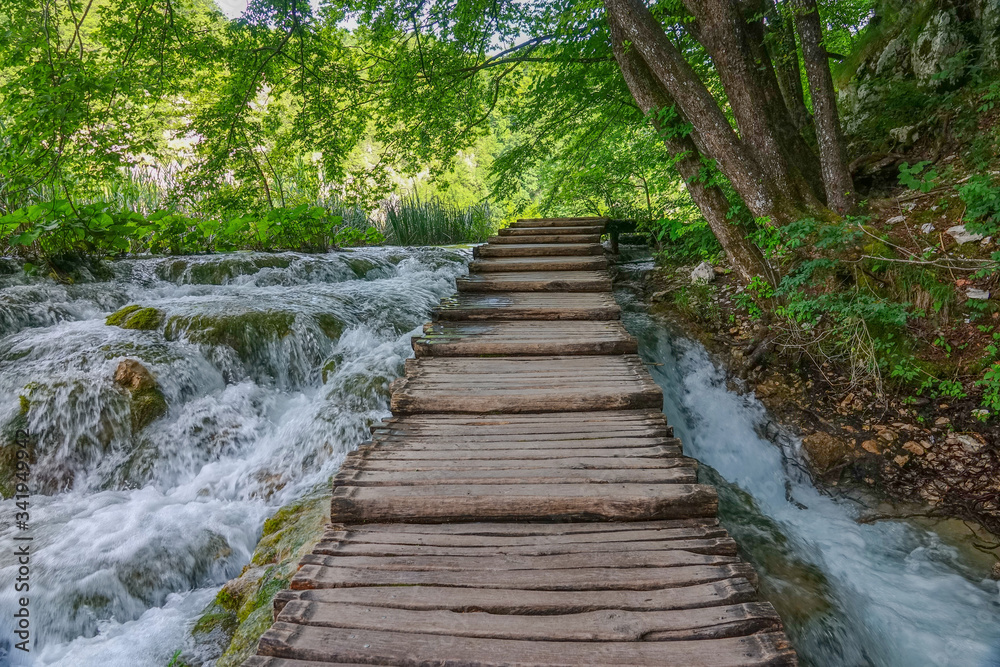 Wandern über Holzstege