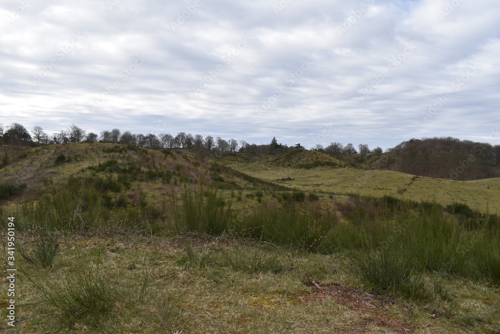 Fototapeta premium Hills, trees and clouds in early spring in Denmark