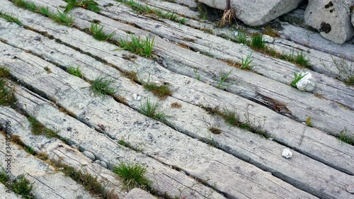 Wooden planked underground. Old gray wooden plank inside the forest.