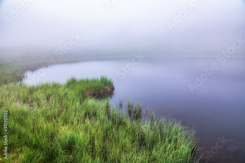 The shore of the lake with coastal grass is hidden in dense fog