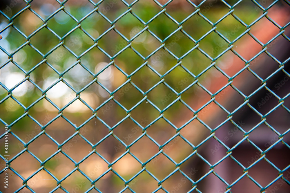 Fototapeta premium Zbliżenie z siatki ogrodzeniowej