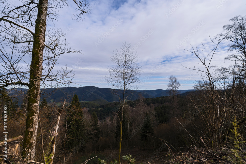 Schwarzwald Wald Baden-Württemberg Natur