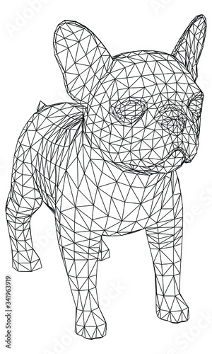 French Bulldog polygonal lines illustration. Abstract vector dog on the white background © kurtcan