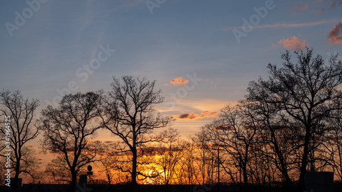 Fototapeta Naklejka Na Ścianę i Meble -  A silhouette view of trees in sunset time.