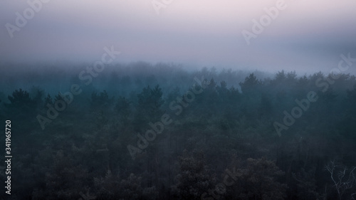 Autumn in fog  Mazovia