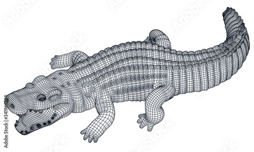 Crocodile polygonal lines illustration. Abstract vector crocodile on the white background