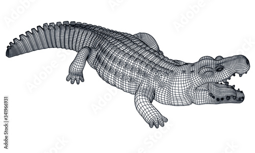 Crocodile polygonal lines illustration. Abstract vector crocodile on the white background