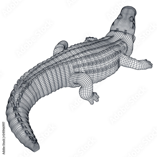 Crocodile polygonal lines illustration Fototapet