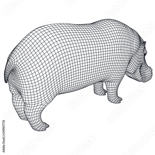 Hippo polygonal lines illustration. Abstract vector hippo on the white background