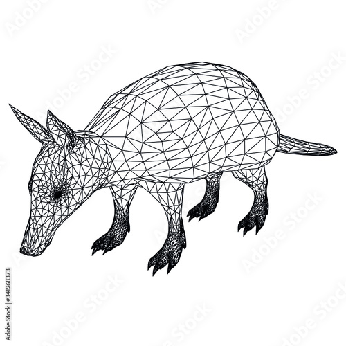 Armadillo parrot polygonal lines illustration. Abstract vector armadillo on the white background