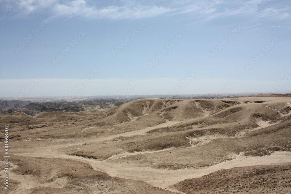 Welwitchia Drive Moon Landscape Swakopmund Namibie Welwitchia Drive Moon Landscape Swakopmund Namibie