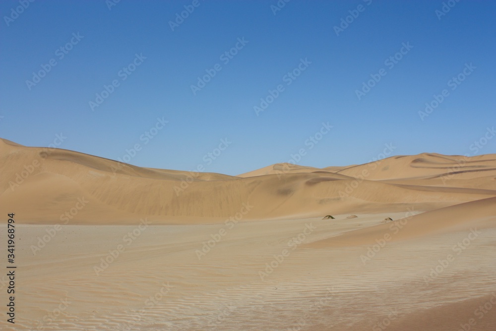 Paysage Dorob National Park Namibie