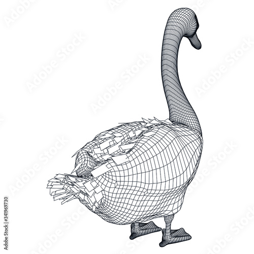 Goose polygonal lines illustration. Vector goose on the white background