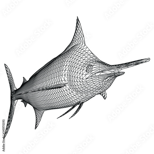 Blue Marlin fish polygonal lines illustration. Abstract vector fish on the white background