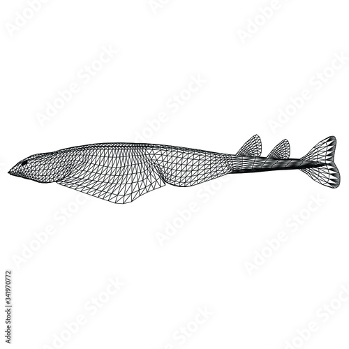 angel shark polygonal lines illustration. Abstract vector angel shark on the white background