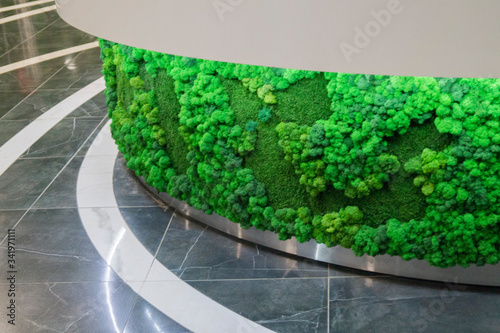 green decorative moss in the reception on the counter