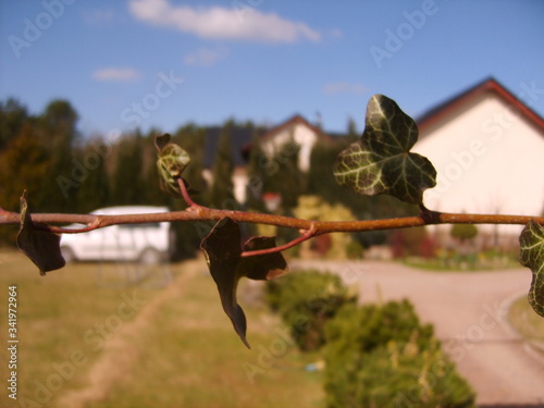 <Digimax S500 / Kenox S500 / Digimax Cyber 530>