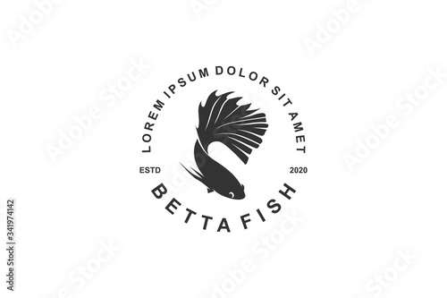 Bettafish silhouette beautiful fish  photo