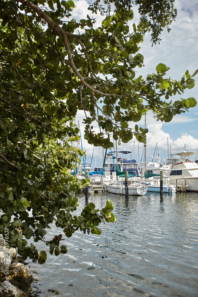 boats in the harbour