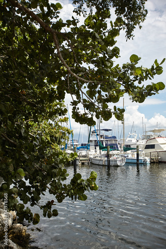 boats in the harbour