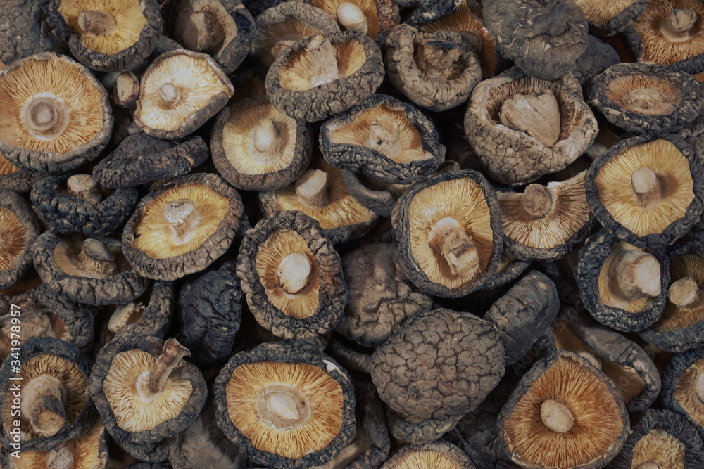 A pile of dried shiitake mushrooms. A pile of dried shiitake mushrooms.