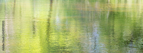reflections of fresh green spring forest on water surface