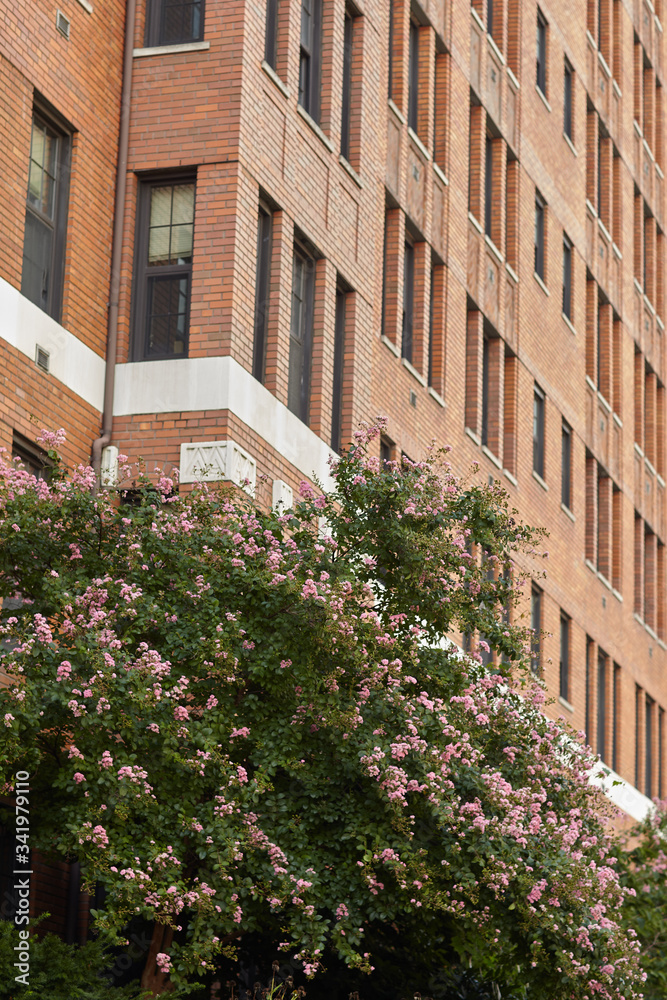 brick wall with flowers