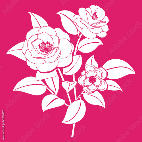 Fototapeta Naklejka Na Ścianę i Meble -  Stylized camellia flower. Vector illustration.