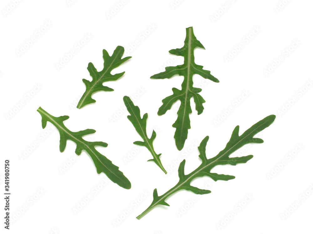 Fresh arugula leaves, top view isolated on a white background Fresh arugula leaves, top view isolated on a white background