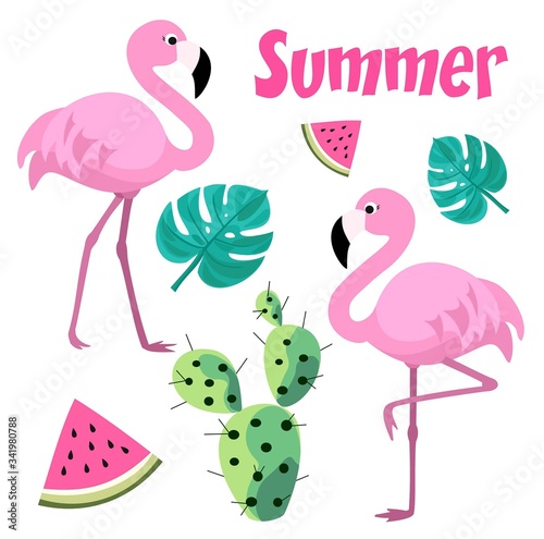 Set of tropical elements with flamingos, cactus and tropical leaves. Vector illustration.