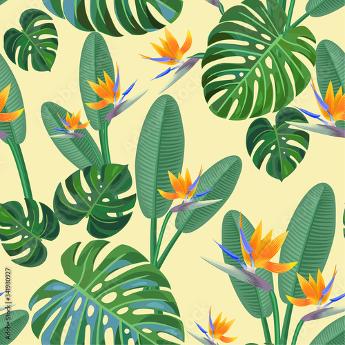 Tropical pattern with bird of paradise flowers. Vector seamless texture.