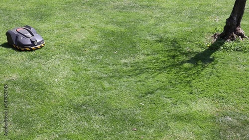 An automatic lawn mower. The little lawn robot is an auto mower and moves autonomously in the garden cutting all the grass