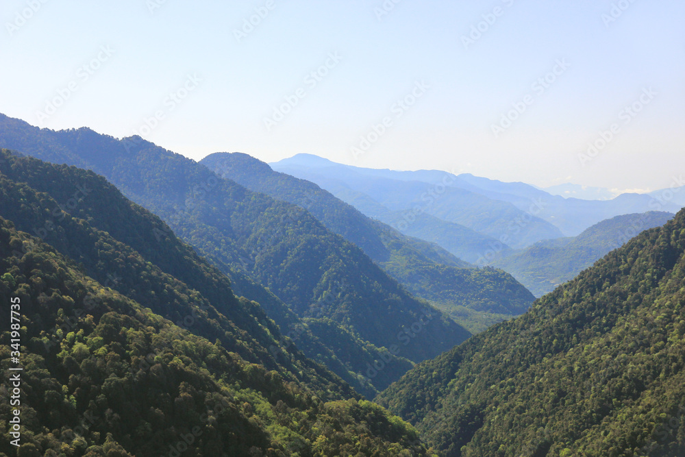 Mountain landscape, mountains covered with green trees
