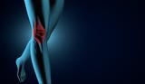 Human legs and knees. X-ray looking illustration. 3d illustration with blue, red and black colors.
