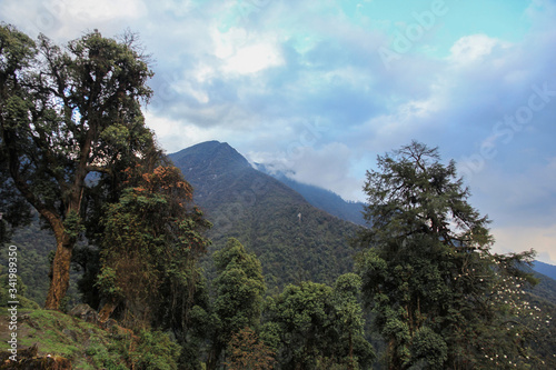 Nice view of the mountains. In the foreground are green trees. In the background are mountains and beautiful clouds.