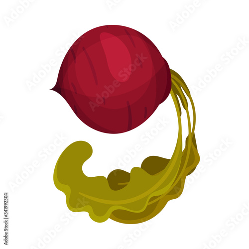 Number Made of Fresh Beet with Top Leaves Vector Illustration