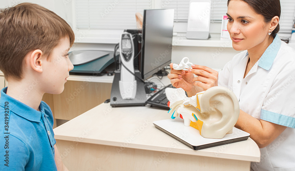 Obraz premium Hearing treatment. Otolaryngologist showing a boy patient a structure of human ear system on a model of human ear. Hearing clinic