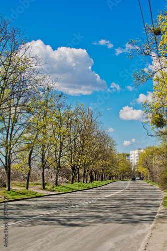 Cars drive along the road between trees on a sunny day, beautiful view of the blue cloudy sky in early spring