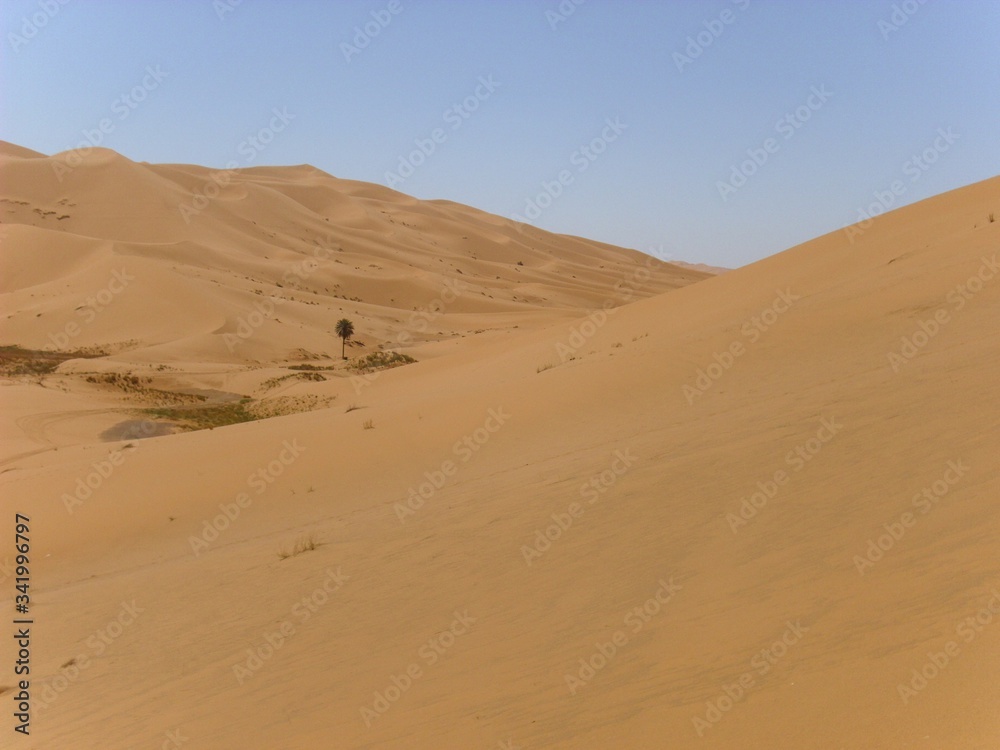 sand dunes in the sahara