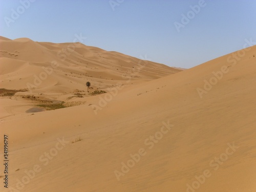 sand dunes in the sahara