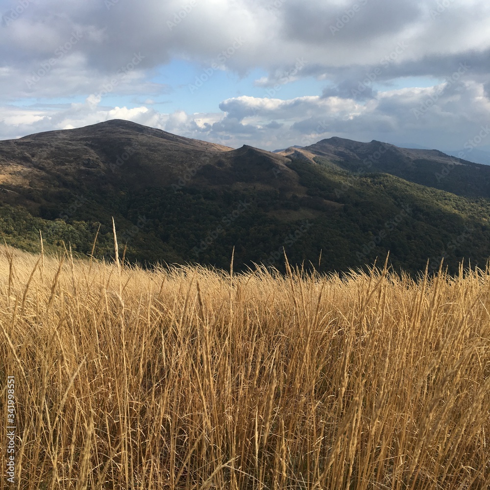 Bieszczady