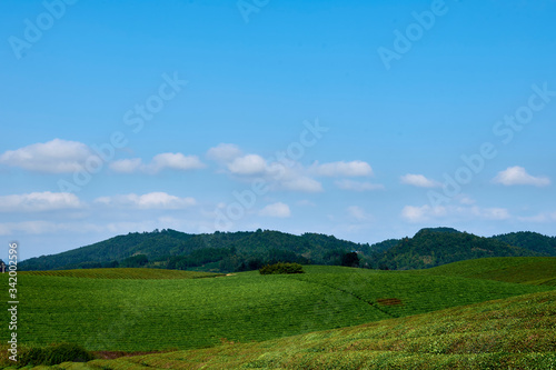 green field with blue sky © 吴文斌 吴