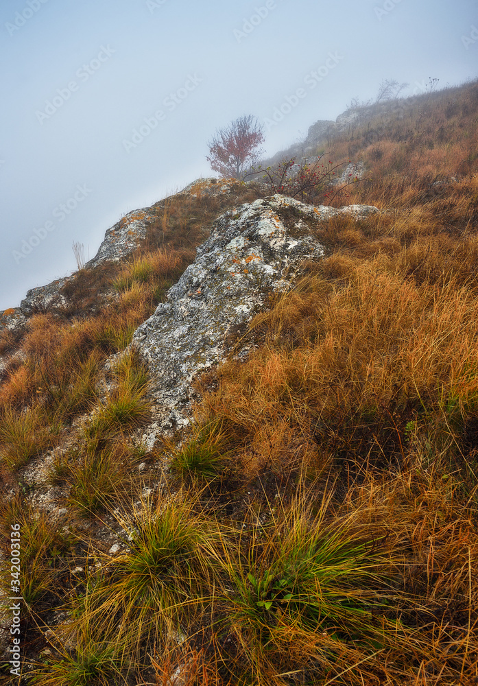 rocks in the fog. autumn fog on the canyon of the Dniester River rocks in the fog. autumn fog on the canyon of the Dniester River
